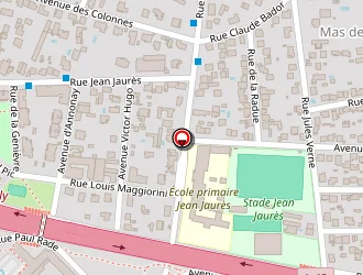 Carte de Ecole De Formation Sociale à Bron