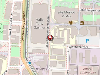 Carte de Ol Store Gerland à Lyon