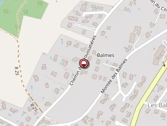 Carte de Didier Luc à Brindas