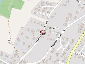 Carte de Pointis Sylvie à Brindas