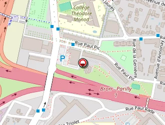 Carte de Centre De Jour à Bron