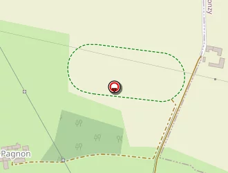 Carte de Ruet Georges à Feurs