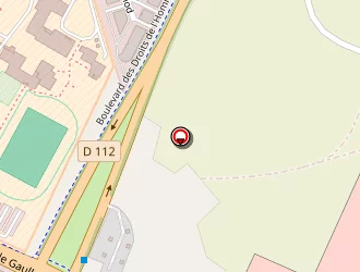 Carte de Picard Surgelés à Bron