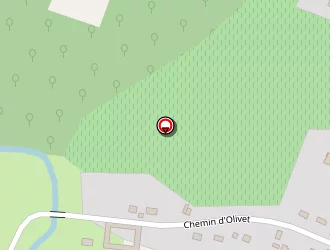 Carte de Etourneaud (earl) à Réparsac