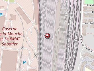 Carte de Association Camerounaise De Lyon Acl à Lyon