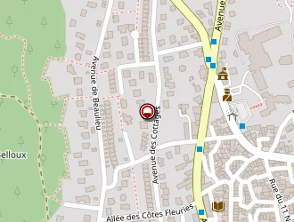 Carte de Carrefour Express à Ceyrat