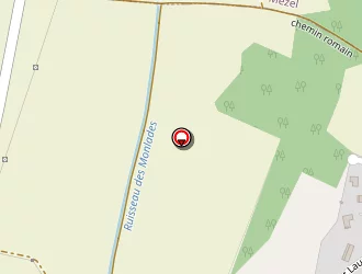 Carte de Fast Services à Pérignat-sur-allier