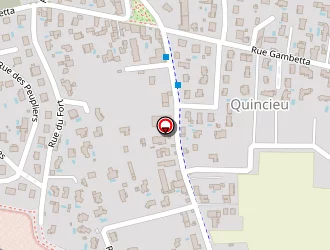 Carte de Genas Electricité- Gee à Genas