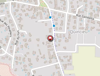 Carte de Art Moquette à Genas