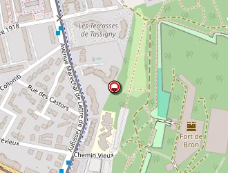 Carte de Lanelite à Saint-priest