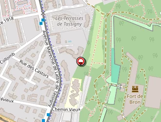 Carte de Bernard Olivier à Bron