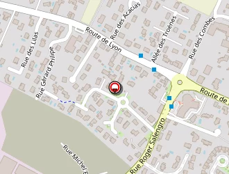 Carte de Blusseau Alain à Genas