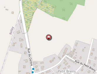 Carte de Burdet Jacques à Brens