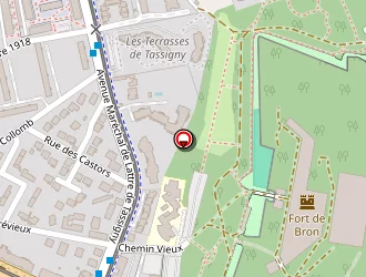 Carte de Relais Accueil Assistantes Maternelles à Bron