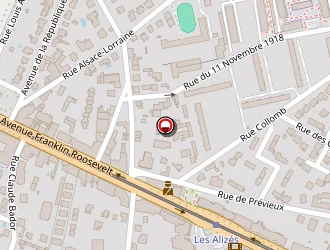 Carte de Inter Anim à Bron