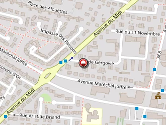 Carte de Tarrit Pascal à Cournon-d'auvergne