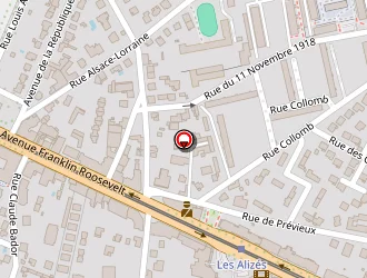 Carte de Délices Pizzas à Bron