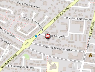 Carte de Amlp à Cournon-d'auvergne