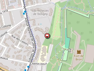 Carte de Rodriguez Antoine à Bron