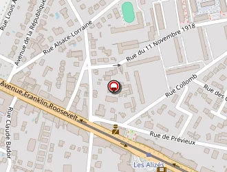 Carte de Rafalovitch Alexandre à Bron