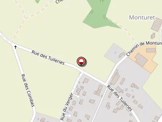 Carte de C.t.a.g. à Genas