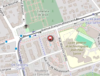 Carte de Pharmacie Chamoux à Bron