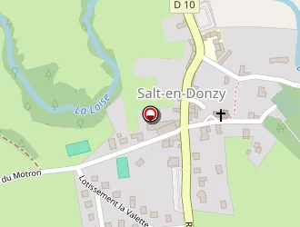 Carte de Vial Pierre à Salt-en-donzy