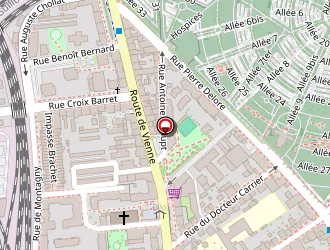 Carte de Rey Francis à Lyon