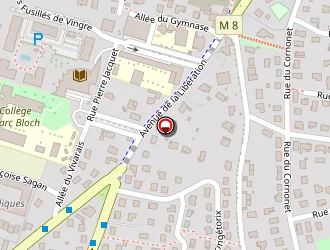 Carte de A.m.i. Bat. à Cournon-d'auvergne