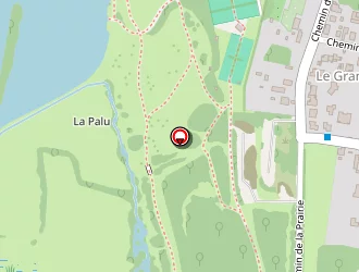 Carte de D Albret Sylvio à Saintes