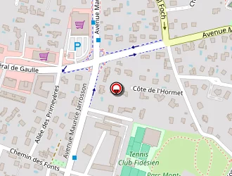 Carte de Osti Michel à Sainte-foy-lès-lyon