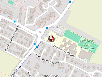 Carte de Forey Eric à Chassieu