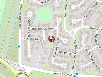 Carte de Bestdrive à Chassieu