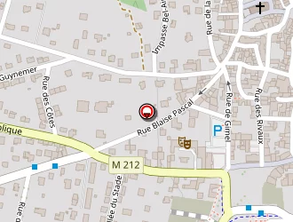 Carte de Master Pc à Cournon-d'auvergne