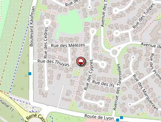 Carte de Profil+ Massa Pneus Adhérent à Chassieu