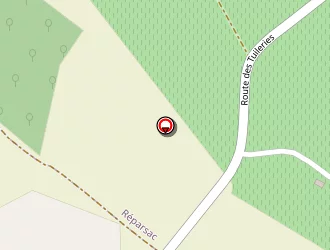 Carte de Louineau Frédéric à Nercillac