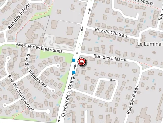 Carte de Gueifao Fernand à Chassieu