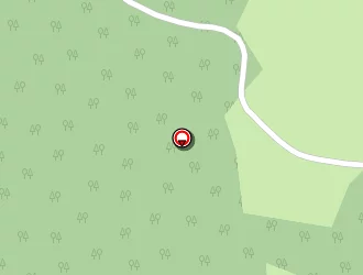 Carte de Carrer Patrice à Nedde