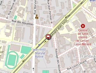 Carte de Rivoire Michel à Lyon