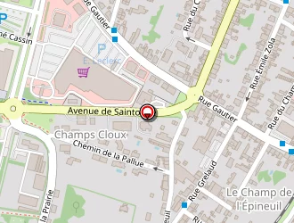 Carte de Thiriet Surgelés à Saintes