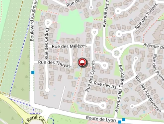 Carte de Riotte Alain à Chassieu