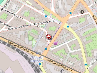 Carte de Lethier Nadine à Lyon