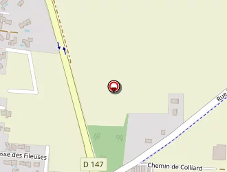 Carte de Fée Maison à Genas