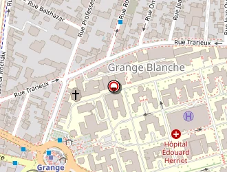 Carte de Centre Léon Bérard à Lyon