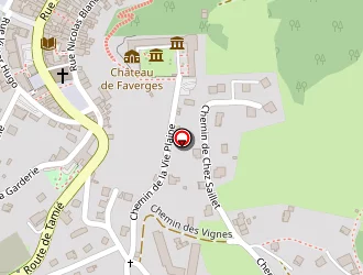 Carte de Oberson Patrick à Faverges