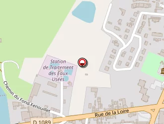 Carte de Martins Murielle à Feurs