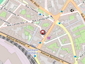 Carte de Troiankov Sergueï à Lyon