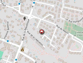 Carte de Boule De Poils à Chassieu