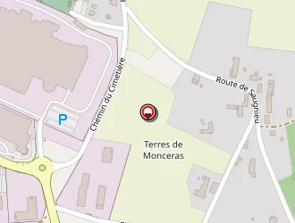 Carte de Cks Cosmétiques à Pusignan