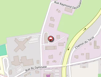 Carte de Geniller Christian à Boën